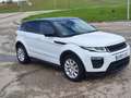 Land Rover Range Rover Todoterreno Automático de 5 Puertas Blanco - thumbnail 4