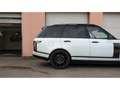 Land Rover Range Rover 4.4 SDV8 Autobiography Auto. Weiß - thumbnail 9