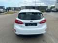 Ford Fiesta Ford fiesta 1.1 /2019/sensoren/airco/carplay Wit - thumbnail 5