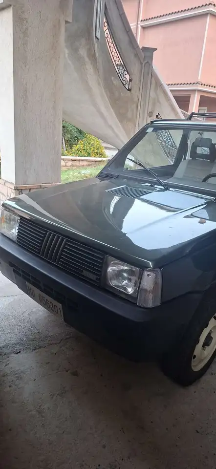 Fiat Panda 1.0 Sisley 4x4, foto 2