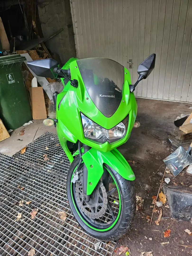 Kawasaki Ninja 250 R Zielony - 2
