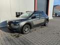 Citroen C4 Cactus 1.2 PureTech W | 1e Eigenaar! Grijs - thumbnail 4
