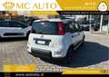 Fiat Panda 1.0 FireFly S&S Hybrid City Life PROMO CON FINANZI Bianco - thumbnail 6