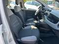 Fiat Panda 1.0 FireFly S&S Hybrid City Life PROMO CON FINANZI Bianco - thumbnail 9