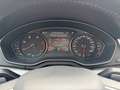 Audi Q5 40 TDI 204 CV quattro S tronic Design Blu/Azzurro - thumbnail 14