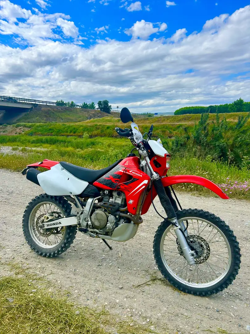 Honda XR 650 - 1