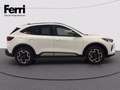 Ford Kuga 2.5 full hybrid Active X 2wd 180cv auto Bianco - thumbnail 11