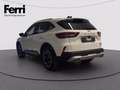 Ford Kuga 2.5 full hybrid Active X 2wd 180cv auto Bianco - thumbnail 13