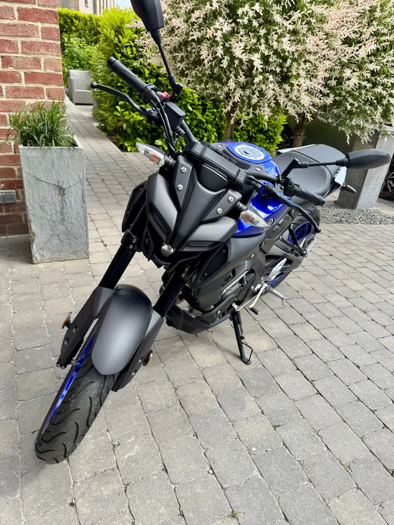 Yamaha MT-125 Bleu - 2
