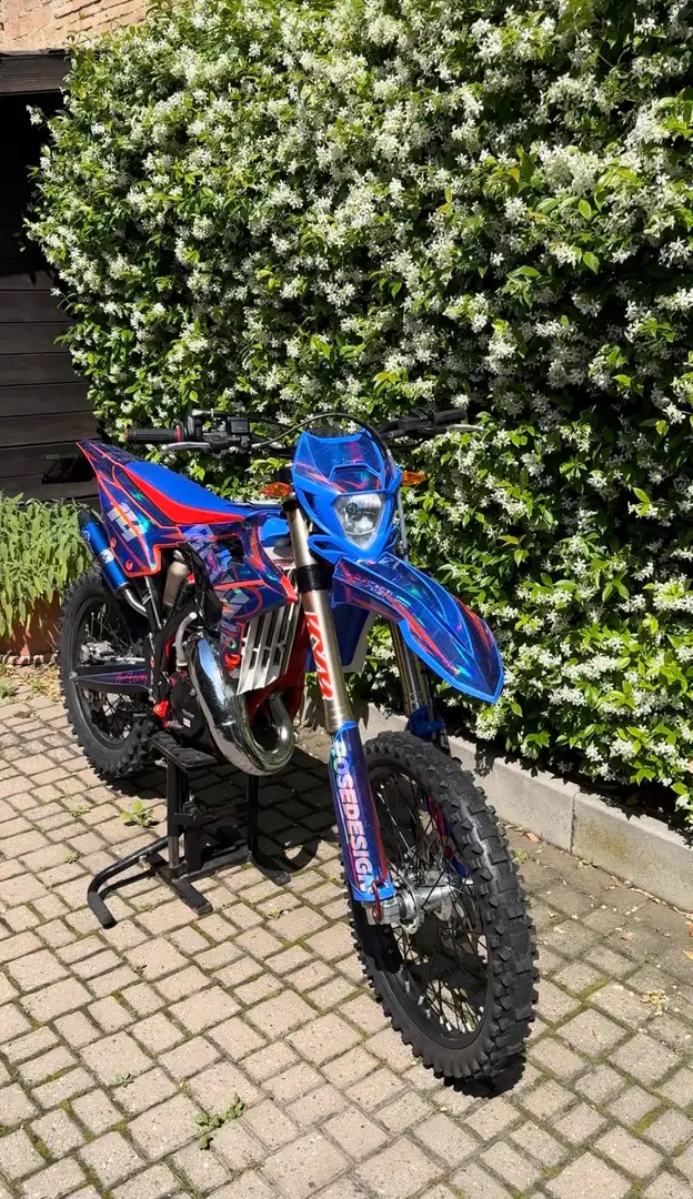 Beta RR Enduro BETA RR RACING 125 2024 Rosso - 2