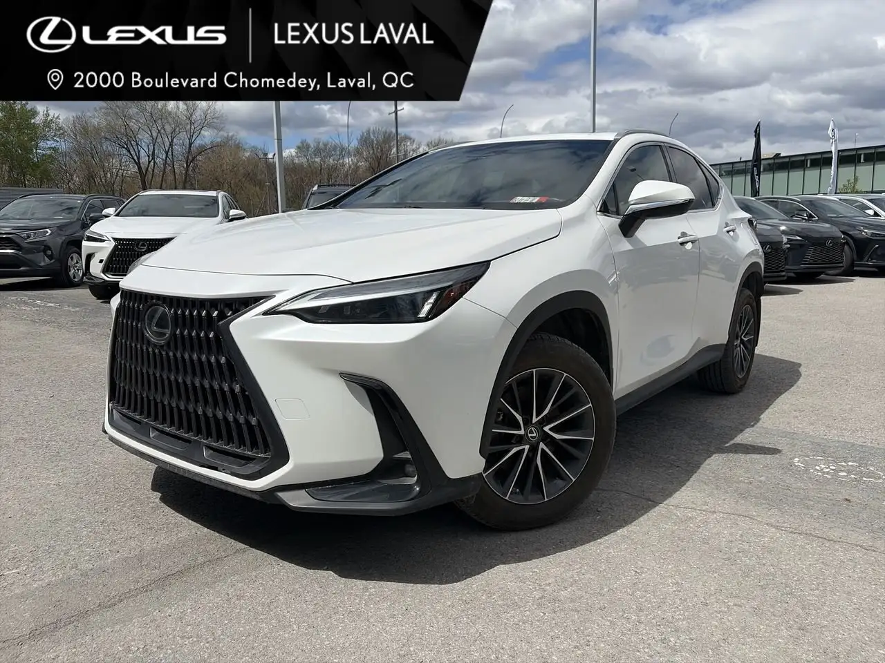 2022 Lexus NX