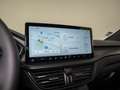 Ford Kuga ST-Line X 2.5 Duratec FHEV | Navi | 360Grad | ACC Grau - thumbnail 13