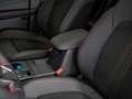 Ford Kuga ST-Line X 2.5 Duratec FHEV | Navi | 360Grad | ACC Grau - thumbnail 20