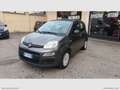 Fiat Panda 1.2 Easy NO VINCOLI Grigio - thumbnail 1