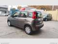 Fiat Panda 1.2 Easy NO VINCOLI Grigio - thumbnail 7