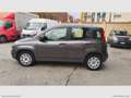 Fiat Panda 1.2 Easy NO VINCOLI Grigio - thumbnail 8