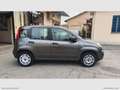 Fiat Panda 1.2 Easy NO VINCOLI Grigio - thumbnail 4