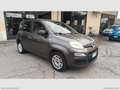 Fiat Panda 1.2 Easy NO VINCOLI Grigio - thumbnail 3