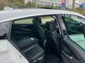 BMW 535 535iA Touring xDrive Blanco - thumbnail 12
