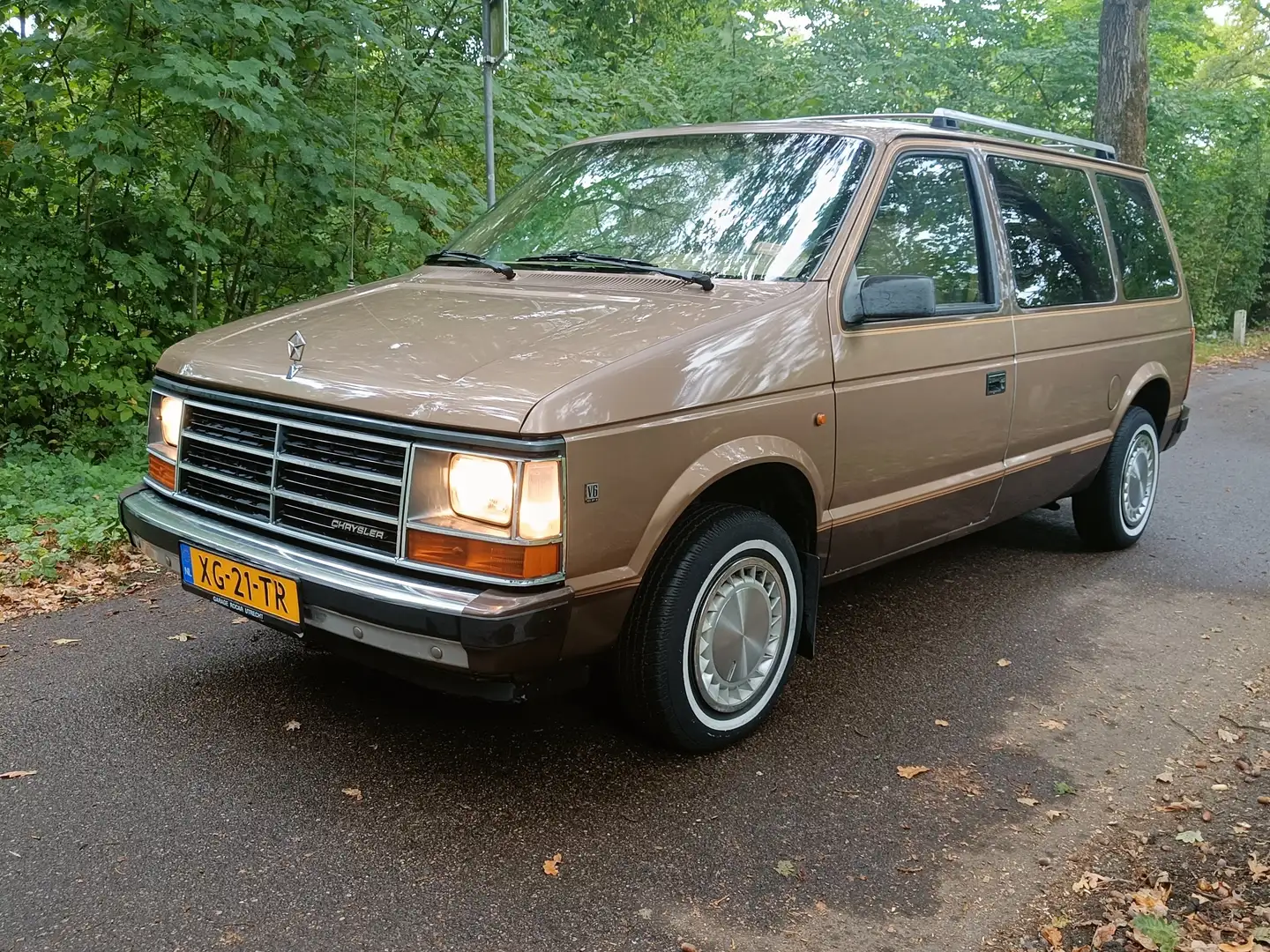Chrysler Voyager 3.0 LE Brons - 1