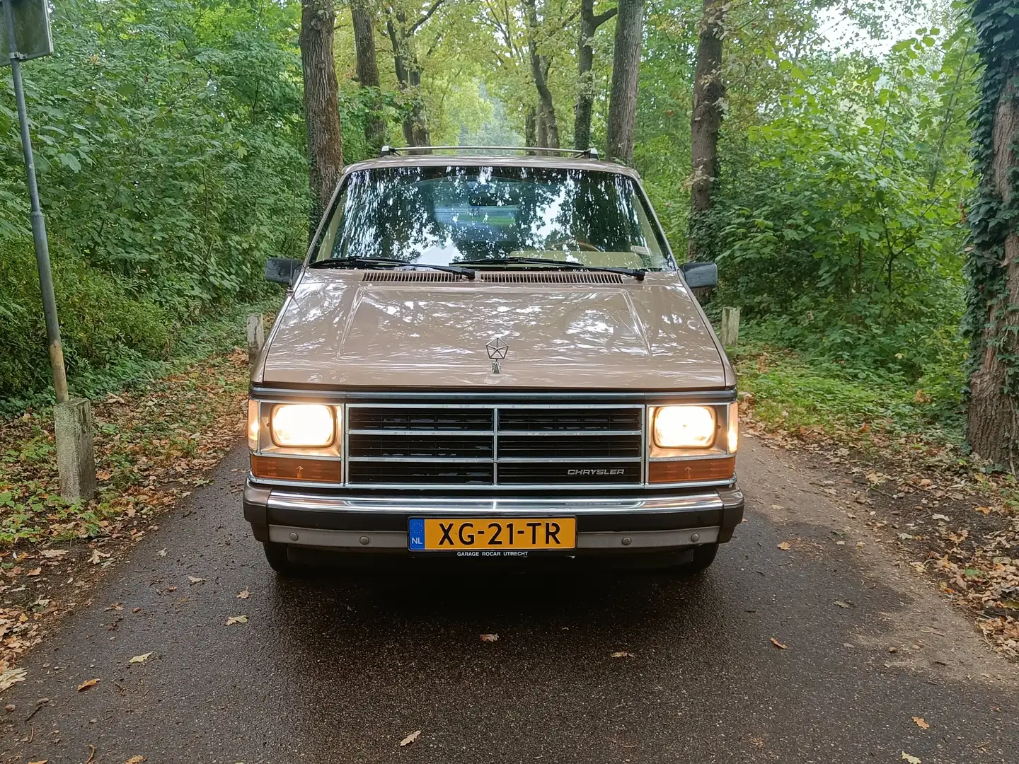 Chrysler Voyager 3.0 LE Brons - 2