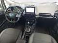 Ford EcoSport ECOSPORT 1.0 ECOBOOST AUTO. TITANIUM KLIMAAUTO SIC Silber - thumbnail 9