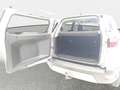 Ford EcoSport ECOSPORT 1.0 ECOBOOST AUTO. TITANIUM KLIMAAUTO SIC Silber - thumbnail 15