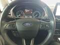 Ford EcoSport ECOSPORT 1.0 ECOBOOST AUTO. TITANIUM KLIMAAUTO SIC Silber - thumbnail 14