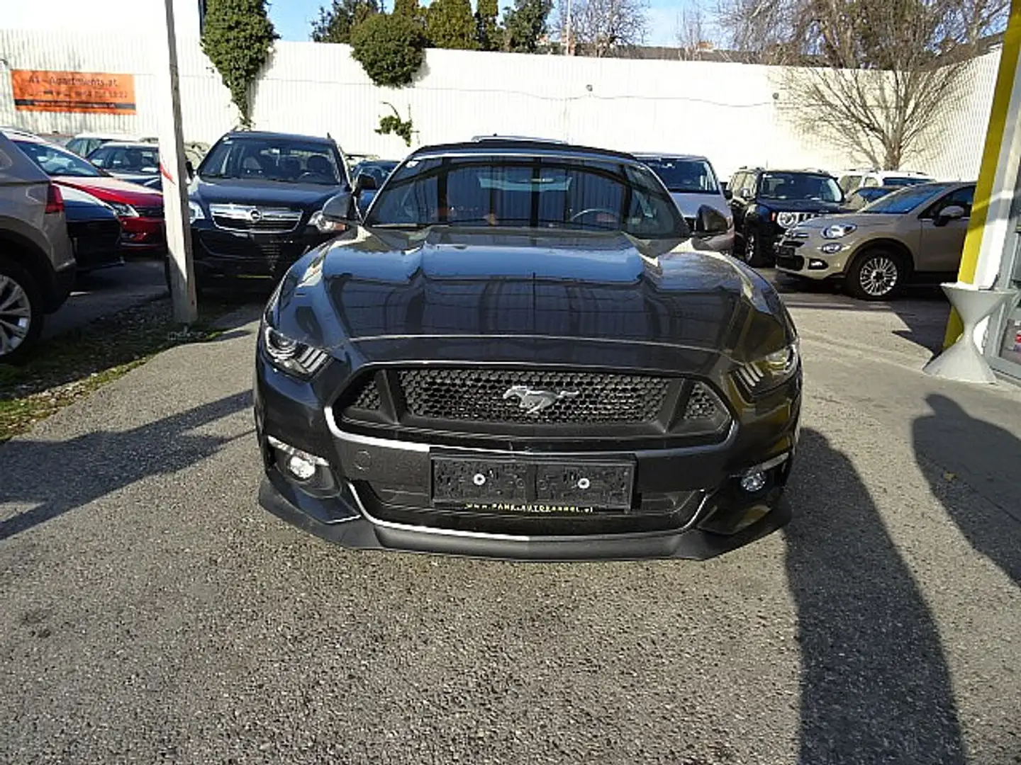 Ford Mustang 5,0 Ti-VCT V8 GT Cabrio Aut. Grau - 1