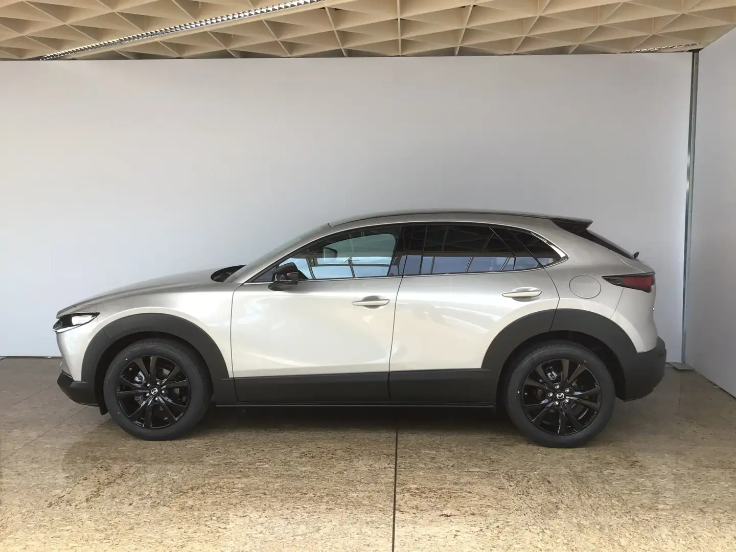 Mazda CX-30 CX-30 2,5 e-SKYACTIV-G 140 M Hybrid Homura 2WD Silber - 2