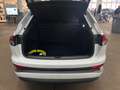Audi Q4 e-tron 40 Advanced PANO AssistenzPlus+Dynamik Bianco - thumbnail 9