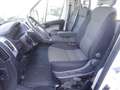 Fiat Ducato Ducato 35 2.3 MJT 140CV PLM Cabinato Bianco - thumbnail 6