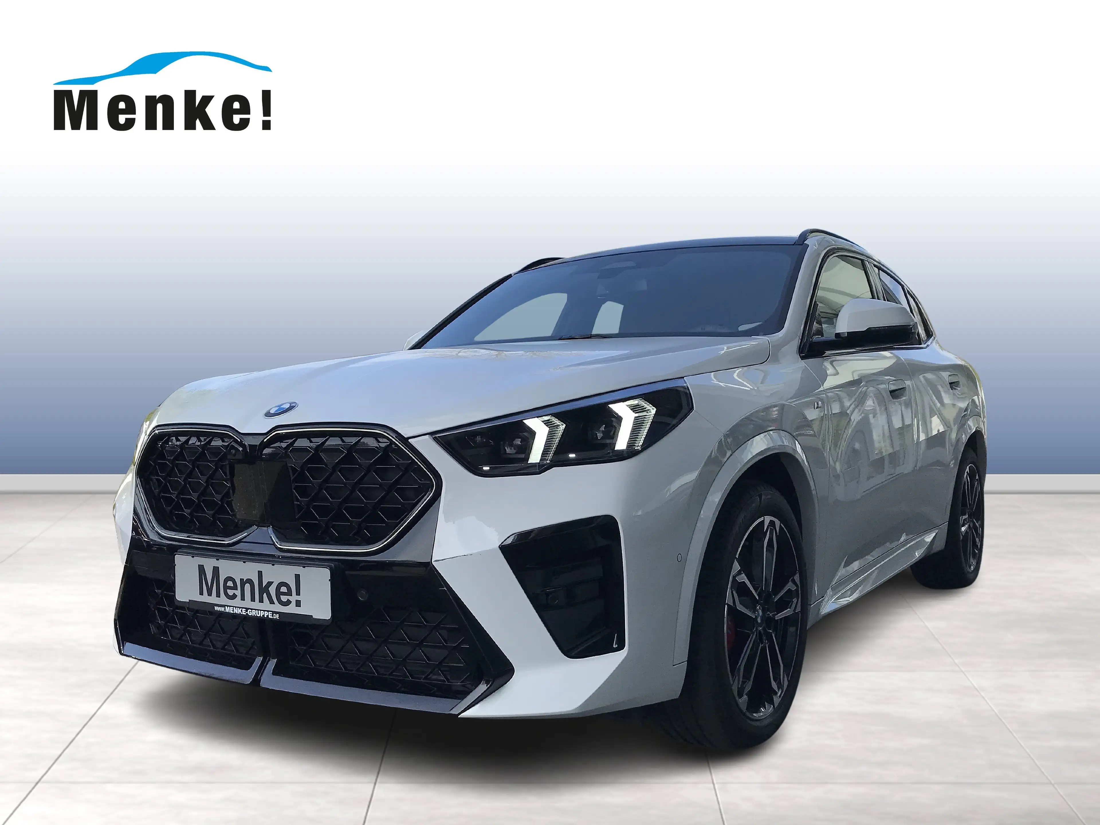 BMW X2 xDrive20d M Sportpaket Head-Up HK HiFi DAB