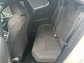 Toyota C-HR 1.8 Business Edition FLA SpurH LM KeyLess Blanco - thumbnail 13