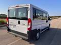Fiat Ducato 30 2.3 MJT 150CV PC-TN Combi 9 POSTI Bianco - thumbnail 5