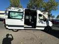 Mercedes-Benz Sprinter 314CDI 143CV L2H2 Blanco - thumbnail 11