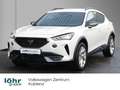 CUPRA Formentor 2.0 TDI AHK/Navi/SHZ/Full-Link Weiß - thumbnail 1