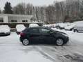Kia Rio Rio 1.1 CRDI Business Line TOP AUSSTATTUNG EURO5 Schwarz - thumbnail 4