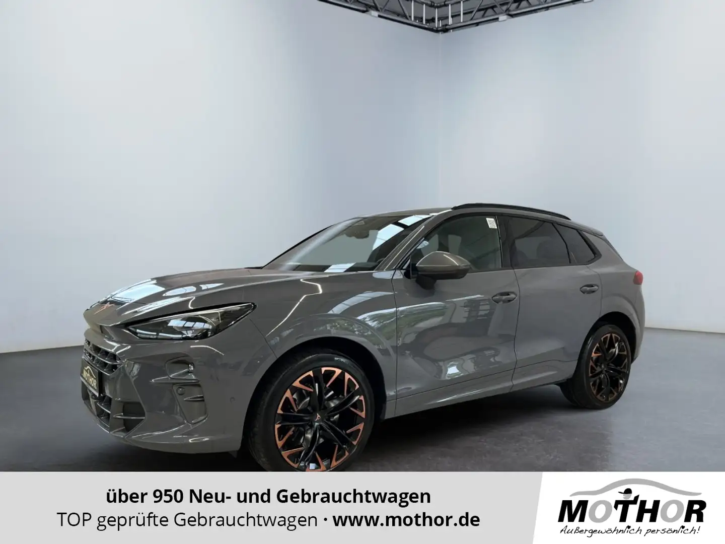 CUPRA Terramar VZ 2.0 TSI DSG 4Drive Panoramadach Grigio - 1