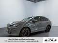 CUPRA Terramar VZ 2.0 TSI DSG 4Drive Panoramadach Gris - thumbnail 1