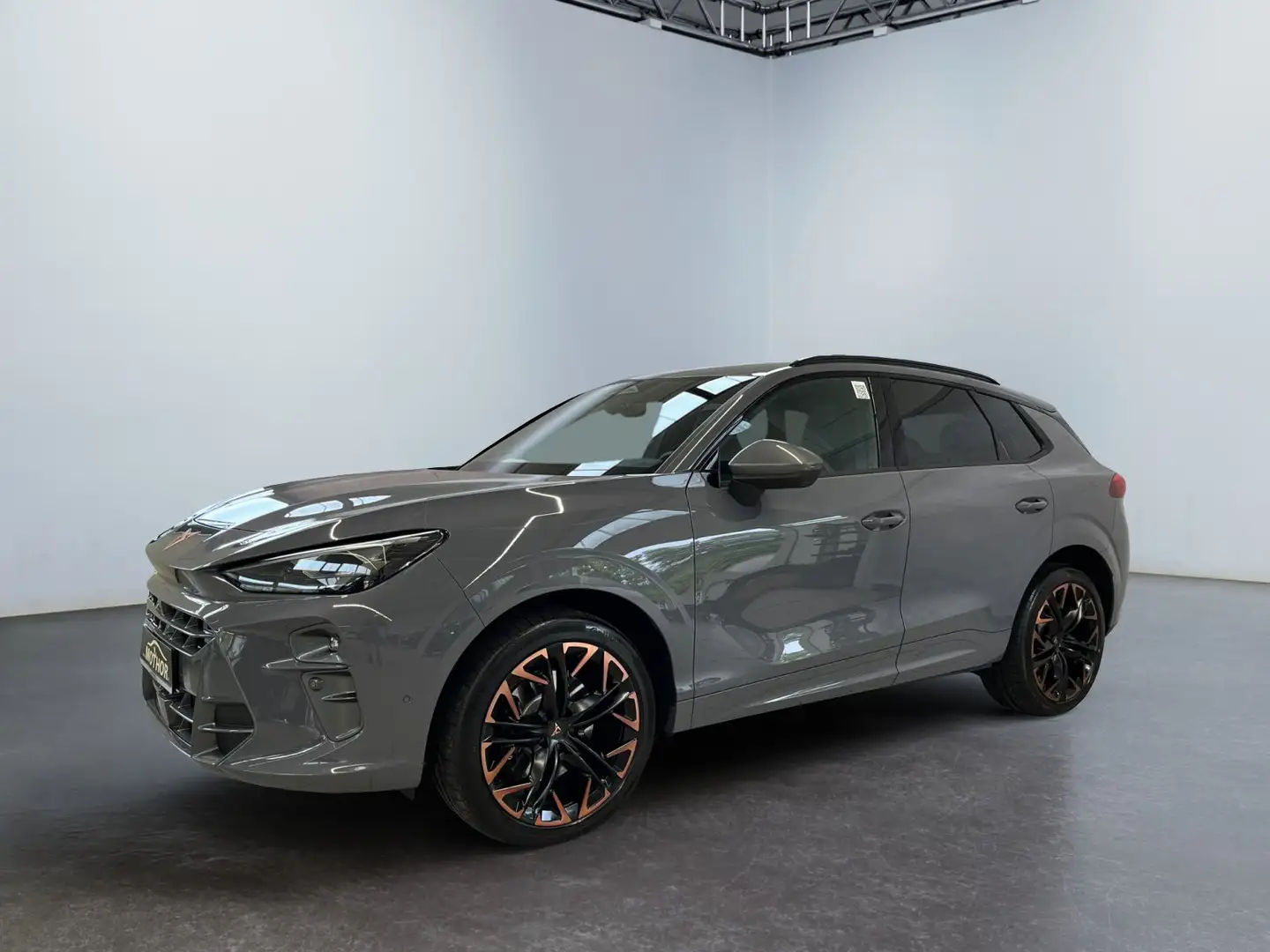 CUPRA Terramar VZ 2.0 TSI DSG 4Drive Panoramadach Grigio - 2