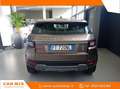 Land Rover Range Rover Evoque 2.0 td4 SE Business edition 150cv 5p auto my19 Bronze - thumbnail 6