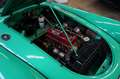 MG MGA europäischer MKI top restauriert Grün - thumbnail 32