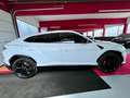 Lamborghini Urus Panorama Garantie B&O 360° ACC Hud Massage Weiß - thumbnail 5