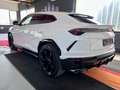 Lamborghini Urus Panorama Garantie B&O 360° ACC Hud Massage Weiß - thumbnail 6