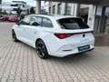 CUPRA Leon SP 1.5 eTSI DSG NAVI KAMERA TOTW. MEMORY Weiß - thumbnail 9