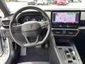 CUPRA Leon SP 1.5 eTSI DSG NAVI KAMERA TOTW. MEMORY Weiß - thumbnail 15