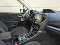Subaru Forester (1-Hand/Automatik) Argent - thumbnail 20