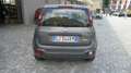 Fiat Panda Cross 1.0 FireFly S&S Hybrid Grigio - thumbnail 5