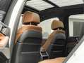 BMW X5 xDrive45e xLine - Pano - Driving Ass Prof - Harman Wit - thumbnail 23